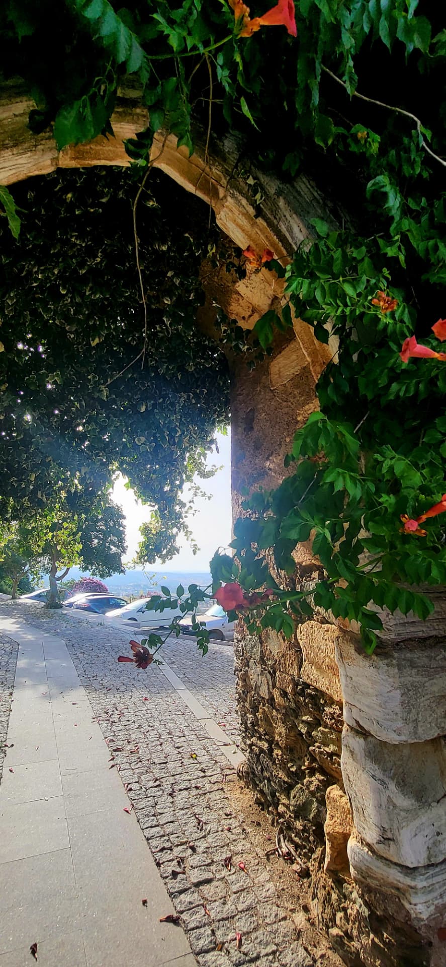 Centro de Interpretação do Castelo